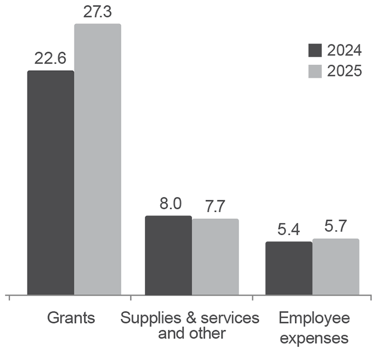 MAIC expenses